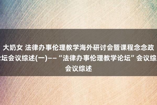 大奶女 法律办事伦理教学海外研讨会暨课程念念政论坛会议综述(一)——“法律办事伦理教学论坛”会议综述