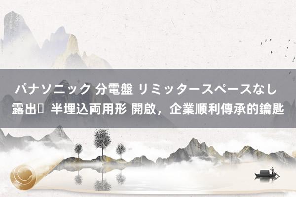 パナソニック 分電盤 リミッタースペースなし 露出・半埋込両用形 開啟，企業顺利傳承的鑰匙