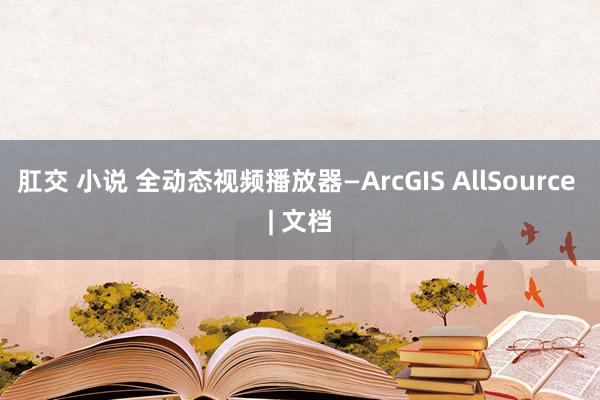 肛交 小说 全动态视频播放器—ArcGIS AllSource | 文档