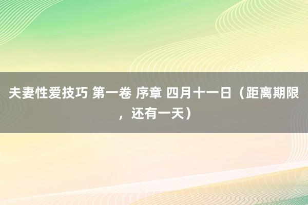 夫妻性爱技巧 第一卷 序章 四月十一日（距离期限，还有一天）