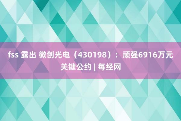 fss 露出 微创光电（430198）：顽强6916万元关键公约 | 每经网